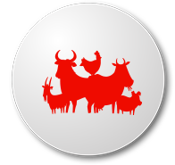 Animal Sourcing icon